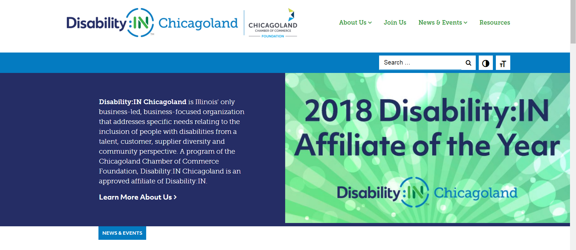 Screenshot of Disability:IN Chicagoland's new website